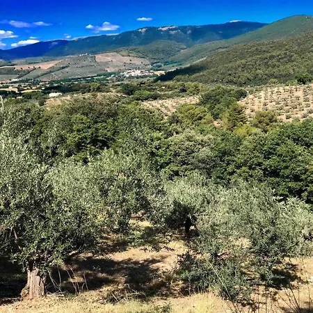Villa Vallocchia - Sleeps 18 Exclusive Poolgrounds 2 * Borgiano (Perugia)